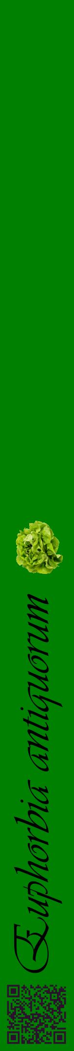 Étiquette de : Euphorbia antiquorum - format a - style noire9viv avec qrcode et comestibilité simplifiée