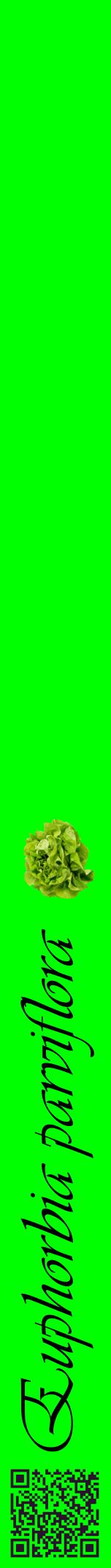 Étiquette de : Euphorbia parviflora - format a - style noire16viv avec qrcode et comestibilité simplifiée