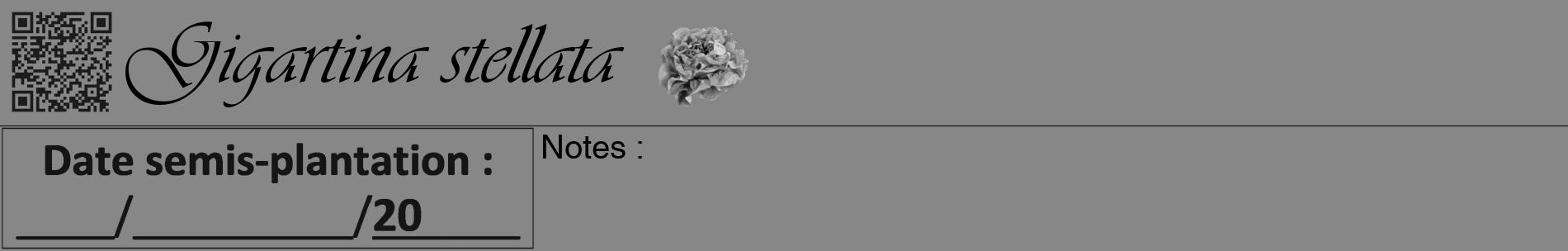 Étiquette de : Gigartina stellata - format a - style noire12basiqueviv avec qrcode et comestibilité simplifiée