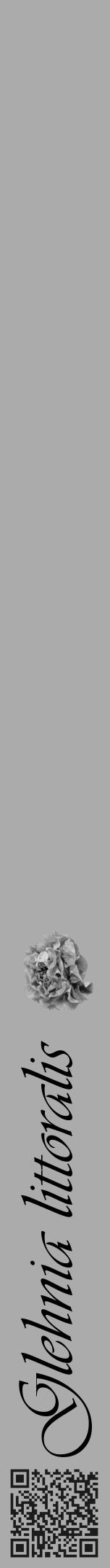 Étiquette de : Glehnia littoralis - format a - style noire37viv avec qrcode et comestibilité simplifiée - position verticale