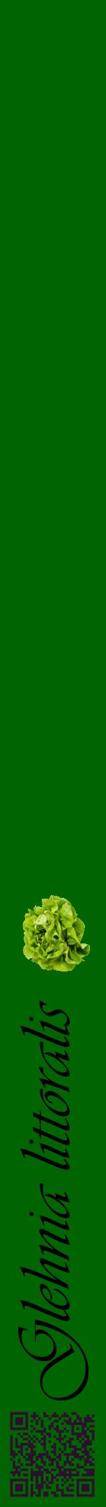 Étiquette de : Glehnia littoralis - format a - style noire8viv avec qrcode et comestibilité simplifiée
