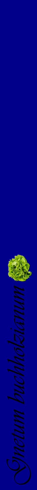 Étiquette de : Gnetum buchholzianum - format a - style noire7viv avec comestibilité simplifiée