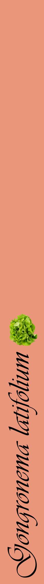 Étiquette de : Gongronema latifolium - format a - style noire37viv avec comestibilité simplifiée