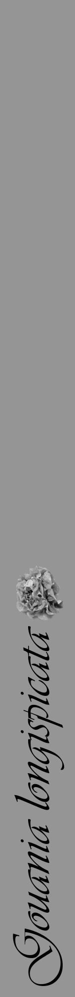 Étiquette de : Gouania longispicata - format a - style noire16viv avec comestibilité simplifiée - position verticale