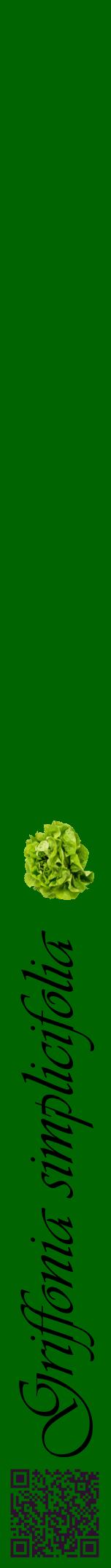 Étiquette de : Griffonia simplicifolia - format a - style noire8viv avec qrcode et comestibilité simplifiée