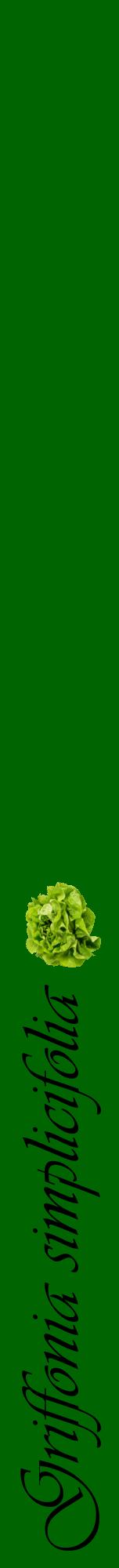 Étiquette de : Griffonia simplicifolia - format a - style noire8viv avec comestibilité simplifiée