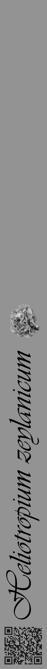 Étiquette de : Heliotropium zeylanicum - format a - style noire44basiqueviv avec qrcode et comestibilité simplifiée - position verticale