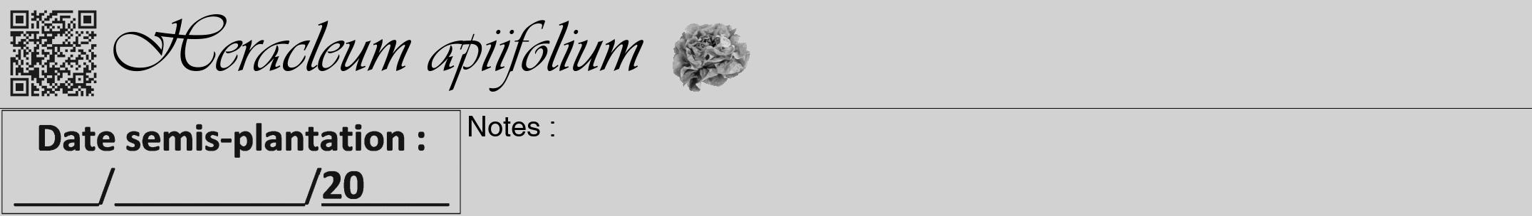 Étiquette de : Heracleum apiifolium - format a - style noire14viv avec qrcode et comestibilité simplifiée