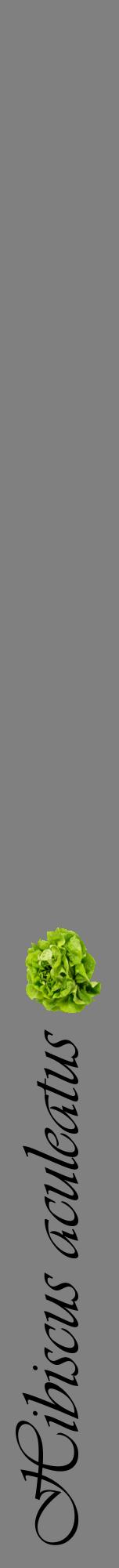 Étiquette de : Hibiscus aculeatus - format a - style noire57viv avec comestibilité simplifiée