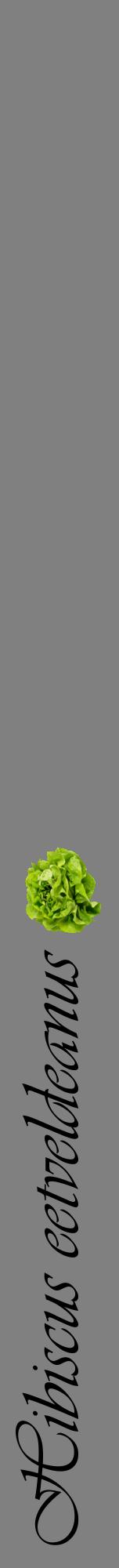 Étiquette de : Hibiscus eetveldeanus - format a - style noire57viv avec comestibilité simplifiée