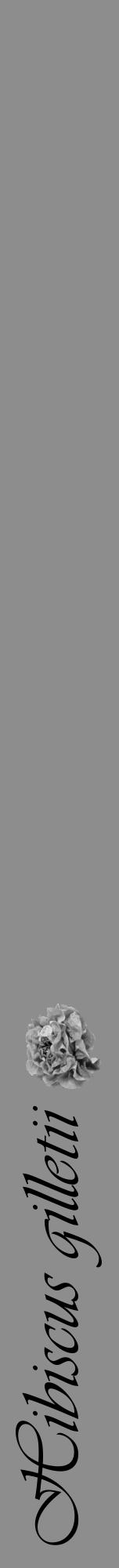 Étiquette de : Hibiscus gilletii - format a - style noire2viv avec comestibilité simplifiée - position verticale