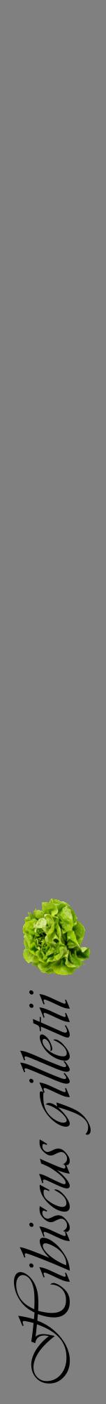 Étiquette de : Hibiscus gilletii - format a - style noire57viv avec comestibilité simplifiée