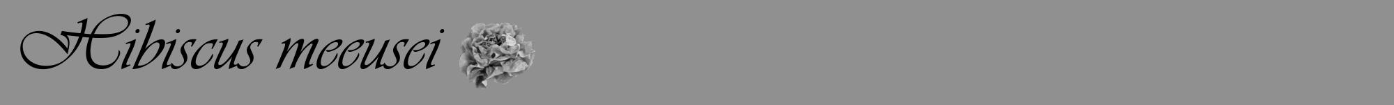 Étiquette de : Hibiscus meeusei - format a - style noire4viv avec comestibilité simplifiée
