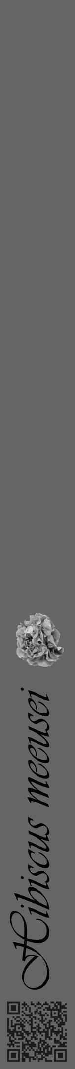 Étiquette de : Hibiscus meeusei - format a - style noire32simpleviv avec qrcode et comestibilité simplifiée - position verticale