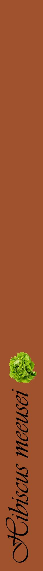 Étiquette de : Hibiscus meeusei - format a - style noire32viv avec comestibilité simplifiée