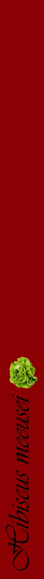 Étiquette de : Hibiscus meeusei - format a - style noire34viv avec comestibilité simplifiée