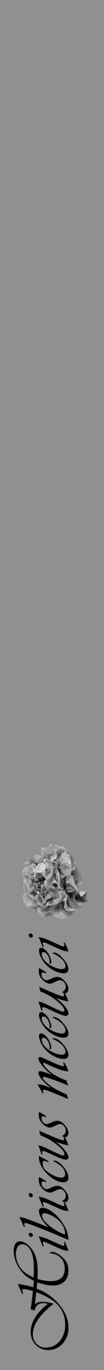 Étiquette de : Hibiscus meeusei - format a - style noire4viv avec comestibilité simplifiée - position verticale