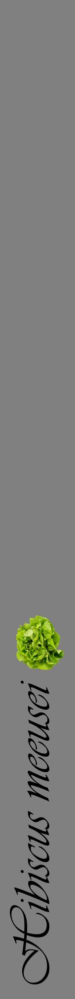 Étiquette de : Hibiscus meeusei - format a - style noire57viv avec comestibilité simplifiée