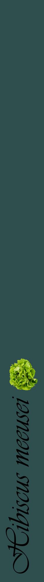 Étiquette de : Hibiscus meeusei - format a - style noire58viv avec comestibilité simplifiée
