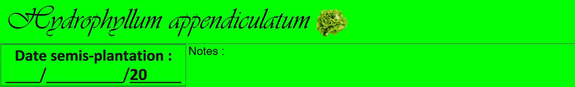Étiquette de : Hydrophyllum appendiculatum - format a - style noire16viv avec comestibilité simplifiée
