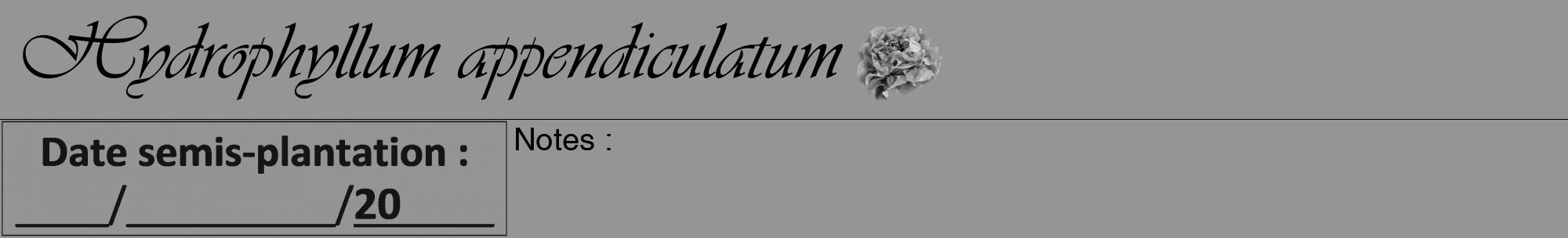 Étiquette de : Hydrophyllum appendiculatum - format a - style noire16viv avec comestibilité simplifiée