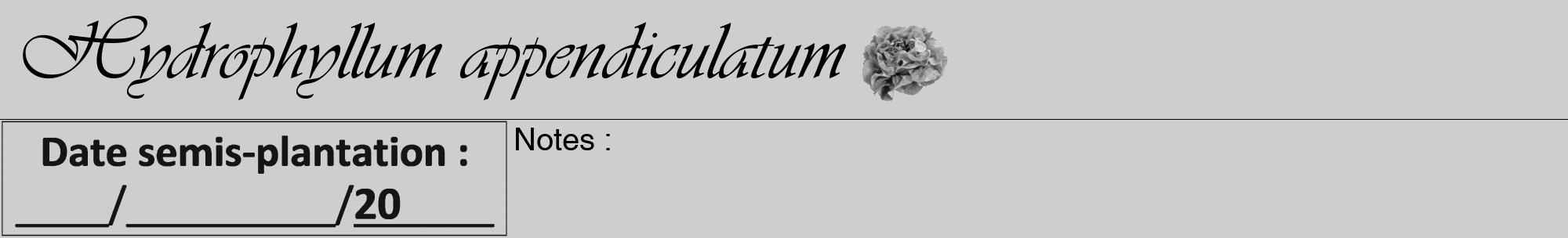 Étiquette de : Hydrophyllum appendiculatum - format a - style noire17viv avec comestibilité simplifiée