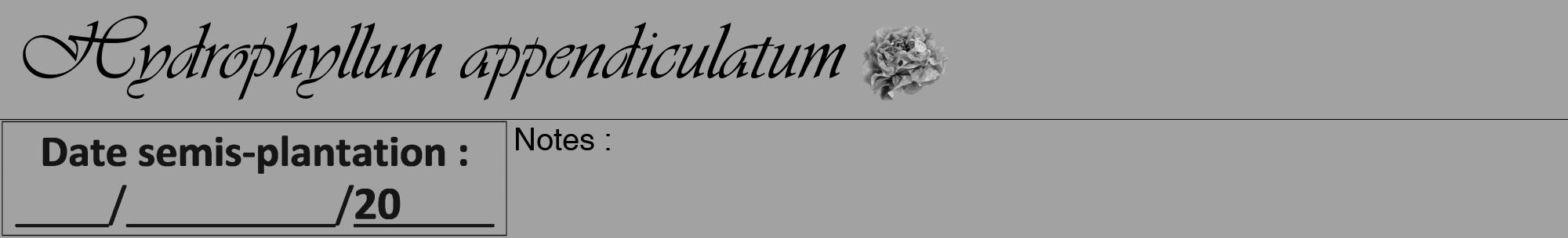 Étiquette de : Hydrophyllum appendiculatum - format a - style noire38viv avec comestibilité simplifiée