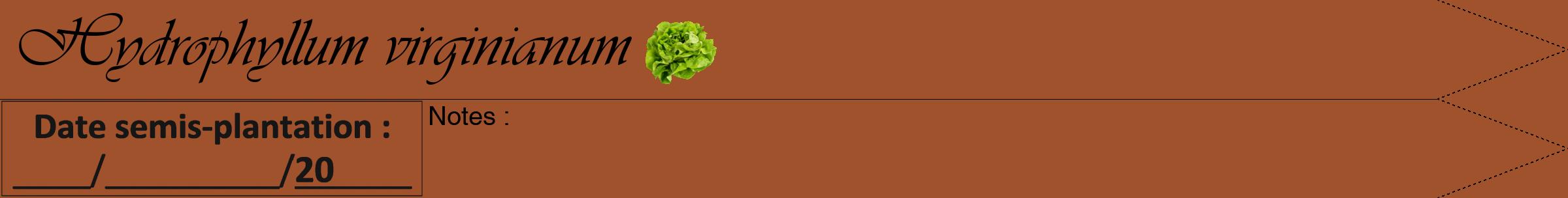 Étiquette de : Hydrophyllum virginianum - format a - style noire32simpleviv avec comestibilité simplifiée
