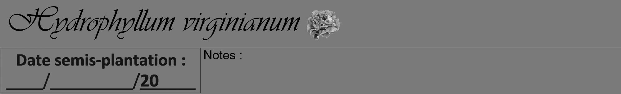 Étiquette de : Hydrophyllum virginianum - format a - style noire3viv avec comestibilité simplifiée
