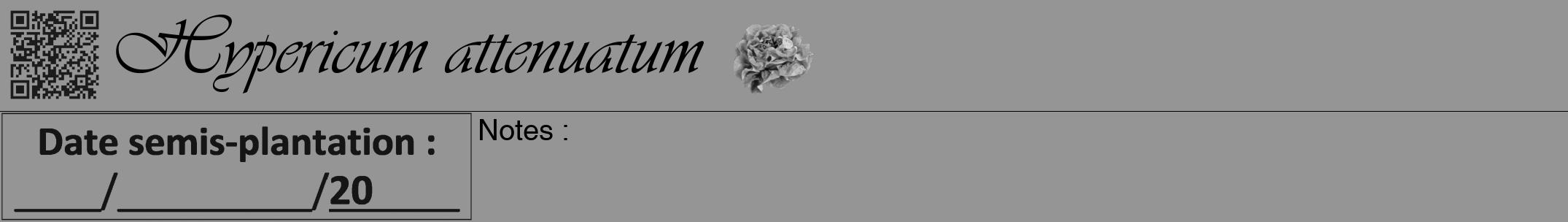 Étiquette de : Hypericum attenuatum - format a - style noire16viv avec qrcode et comestibilité simplifiée