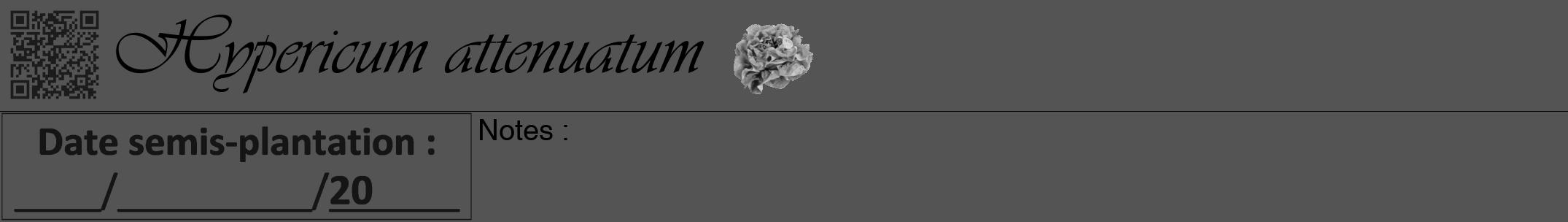 Étiquette de : Hypericum attenuatum - format a - style noire30viv avec qrcode et comestibilité simplifiée