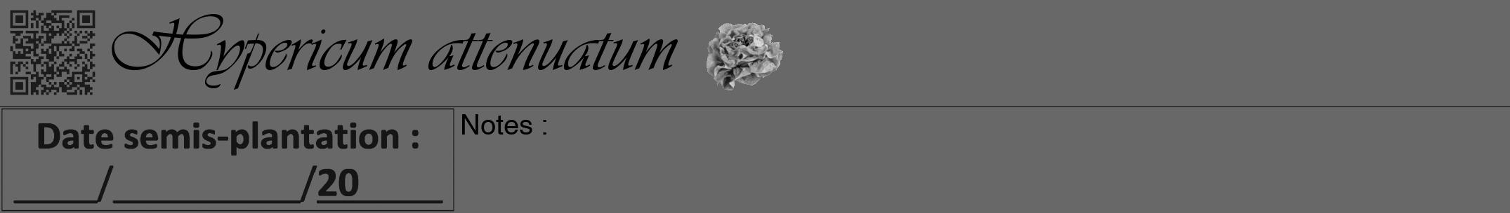 Étiquette de : Hypericum attenuatum - format a - style noire43viv avec qrcode et comestibilité simplifiée