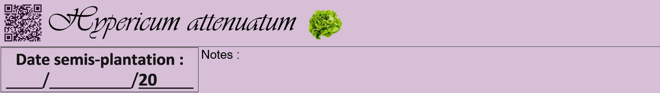 Étiquette de : Hypericum attenuatum - format a - style noire54viv avec qrcode et comestibilité simplifiée