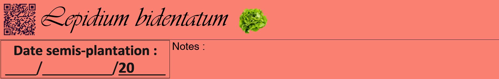 Étiquette de : Lepidium bidentatum - format a - style noire38basiqueviv avec qrcode et comestibilité simplifiée