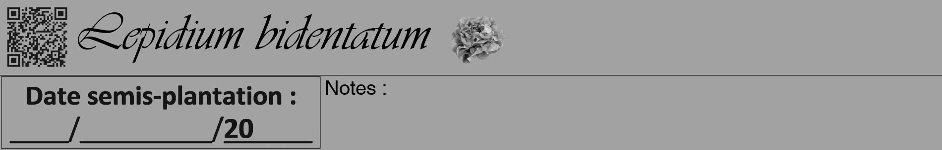 Étiquette de : Lepidium bidentatum - format a - style noire38basiqueviv avec qrcode et comestibilité simplifiée