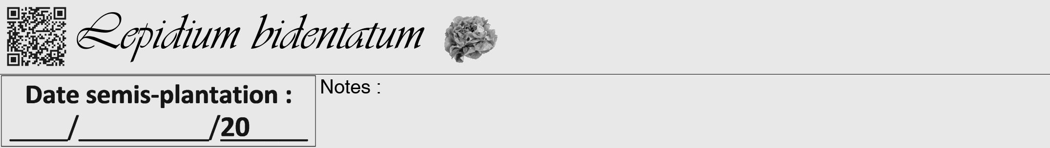 Étiquette de : Lepidium bidentatum - format a - style noire55viv avec qrcode et comestibilité simplifiée