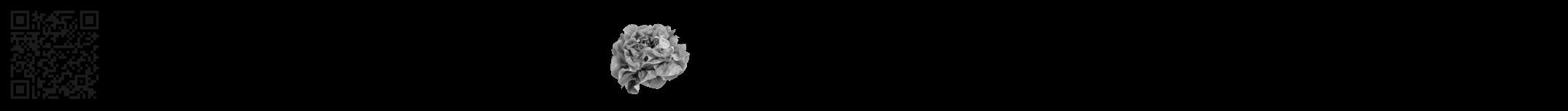 Étiquette de : Leucas calostachys - format a - style noire59viv avec qrcode et comestibilité simplifiée