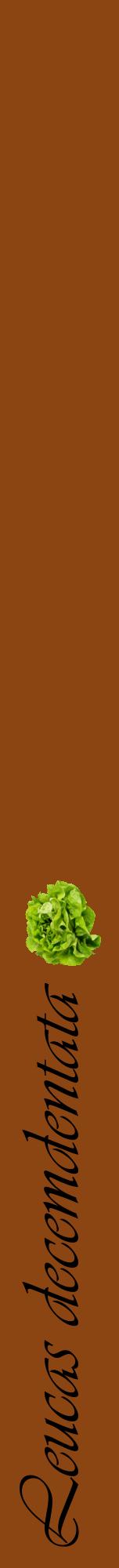 Étiquette de : Leucas decemdentata - format a - style noire30viv avec comestibilité simplifiée