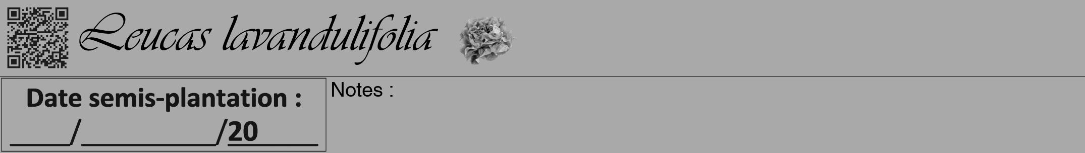 Étiquette de : Leucas lavandulifolia - format a - style noire13viv avec qrcode et comestibilité simplifiée