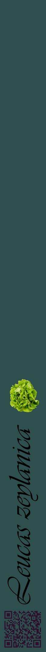 Étiquette de : Leucas zeylanica - format a - style noire58viv avec qrcode et comestibilité simplifiée