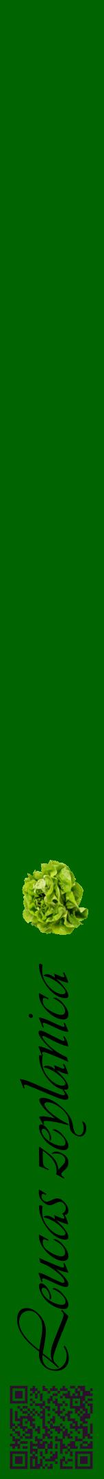 Étiquette de : Leucas zeylanica - format a - style noire8viv avec qrcode et comestibilité simplifiée