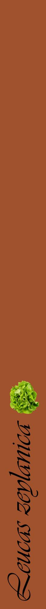 Étiquette de : Leucas zeylanica - format a - style noire32viv avec comestibilité simplifiée