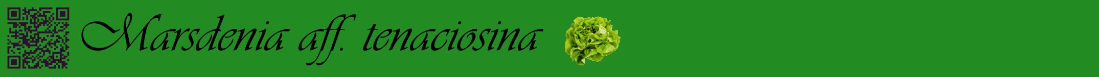 Étiquette de : Marsdenia aff. tenaciosina - format a - style noire10basiqueviv avec qrcode et comestibilité simplifiée
