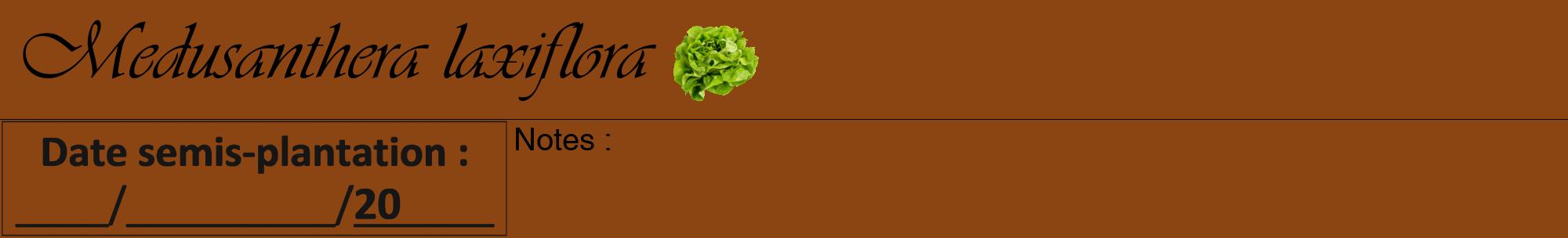 Étiquette de : Medusanthera laxiflora - format a - style noire30viv avec comestibilité simplifiée