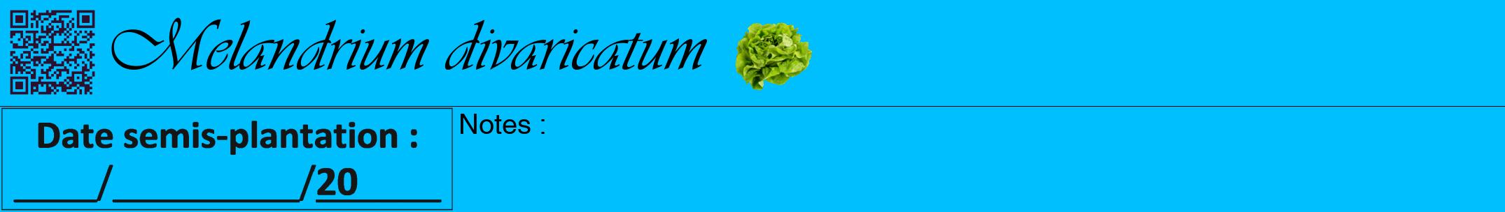 Étiquette de : Melandrium divaricatum - format a - style noire2viv avec qrcode et comestibilité simplifiée