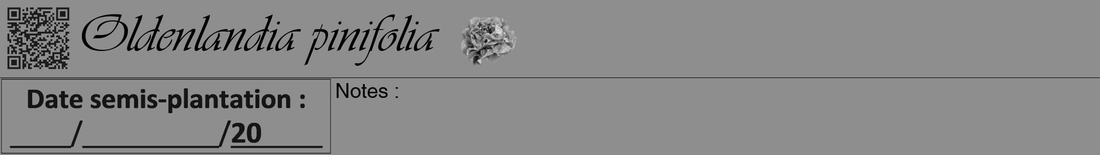 Étiquette de : Oldenlandia pinifolia - format a - style noire25viv avec qrcode et comestibilité simplifiée