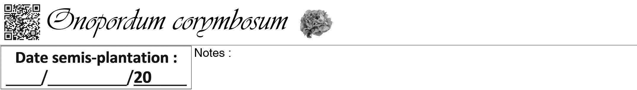 Étiquette de : Onopordum corymbosum - format a - style noire60viv avec qrcode et comestibilité simplifiée