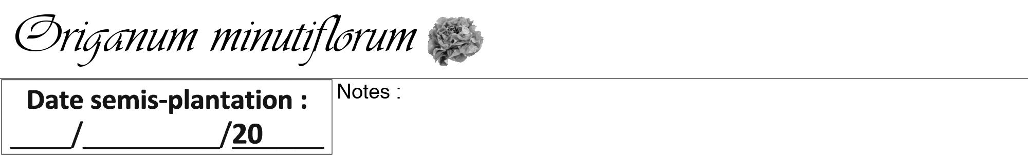 Étiquette de : Origanum minutiflorum - format a - style noire60viv avec comestibilité simplifiée