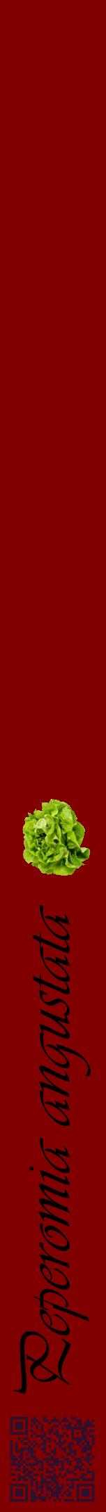 Étiquette de : Peperomia angustata - format a - style noire29viv avec qrcode et comestibilité simplifiée