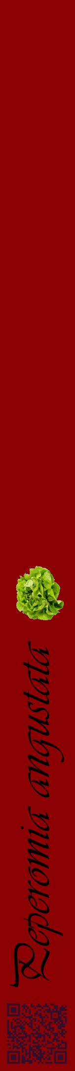 Étiquette de : Peperomia angustata - format a - style noire34viv avec qrcode et comestibilité simplifiée